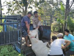 Waduh! di Siantar Marimbun Hewan Peliharaan Warga Mati Mendadak