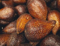 Rutin Makan Buah Salak? Ini 6 Penyakit yang Bisa Dicegah