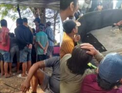 Warga Minta APH Tindak Judi Sabung Ayam di Desa Seumber Terik