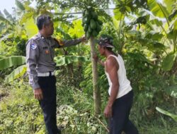 Polisi Cinta Petani, Bhabinkamtibmas Sidokerto Aiptu Andik Jadmiko Dukung Ketahanan Pangan